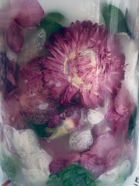 ずこうしつ〜sugamo〜に投稿された画像（2021/7/30）