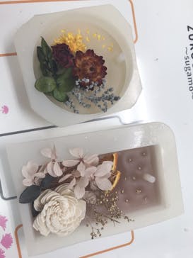 ずこうしつ〜sugamo〜に投稿された画像（2021/7/30）