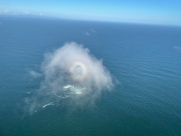 松島熱気球・パラグライダー体験に投稿された画像（2021/7/30）