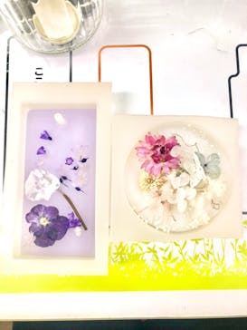 ずこうしつ〜sugamo〜に投稿された画像（2021/7/30）