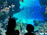 サンシャイン水族館に投稿された画像（2021/7/30）