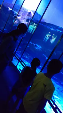 横浜・八景島シーパラダイスに投稿された画像（2021/7/30）