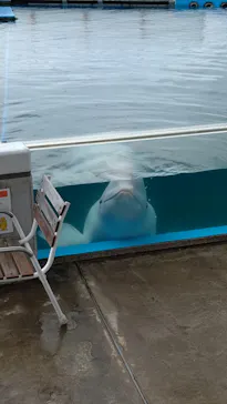 横浜・八景島シーパラダイスに投稿された画像（2021/7/30）