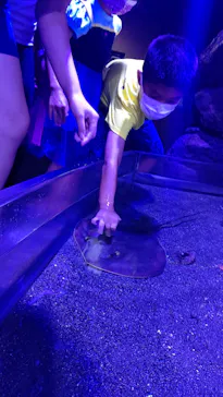 横浜・八景島シーパラダイスに投稿された画像（2021/7/30）