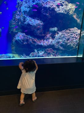 マクセル アクアパーク品川に投稿された画像（2021/7/30）