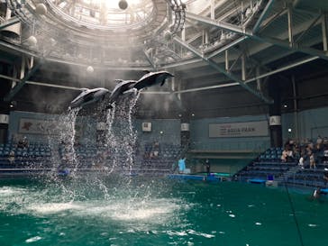 マクセル アクアパーク品川に投稿された画像（2021/7/30）