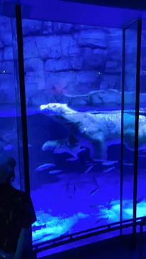 横浜・八景島シーパラダイスに投稿された画像（2021/7/30）