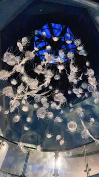 横浜・八景島シーパラダイスに投稿された画像（2021/7/30）