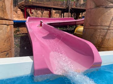 日本モンキーパークに投稿された画像（2021/7/30）