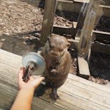 横浜・八景島シーパラダイスに投稿された画像（2021/7/30）