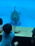 アクアワールド茨城県大洗水族館に投稿された画像（2021/7/30）