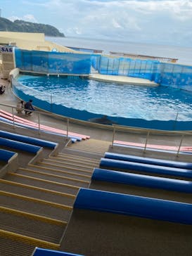 新江ノ島水族館に投稿された画像（2021/7/30）