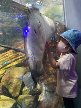 新江ノ島水族館に投稿された画像（2021/7/30）