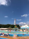 日本モンキーパークに投稿された画像（2021/7/31）
