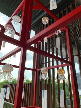 京都水族館に投稿された画像（2021/7/30）