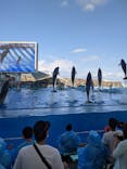 名古屋港水族館に投稿された画像（2021/7/31）