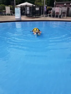 わんダフルネイチャーヴィレッジに投稿された画像（2021/7/31）