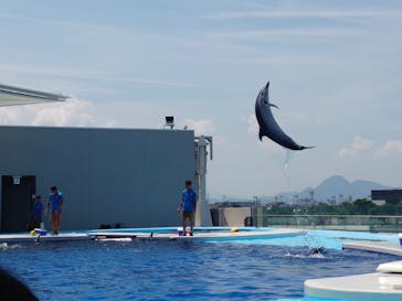 四国水族館に投稿された画像（2021/7/31）