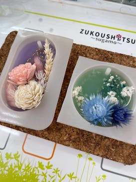 ずこうしつ〜sugamo〜に投稿された画像（2021/7/31）