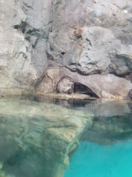 アクアワールド茨城県大洗水族館に投稿された画像（2021/7/31）