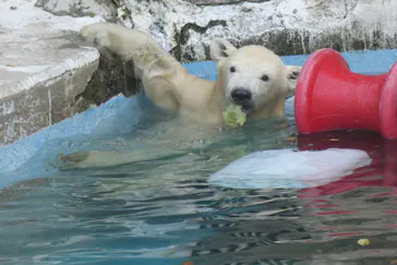 天王寺動物園に投稿された画像（2021/7/31）