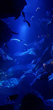 すみだ水族館に投稿された画像（2021/7/31）