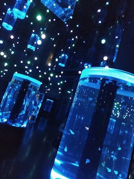 マクセル アクアパーク品川に投稿された画像（2021/7/31）