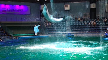 マクセル アクアパーク品川に投稿された画像（2021/7/31）