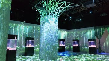 マクセル アクアパーク品川に投稿された画像（2021/7/31）