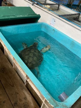 南知多ビーチランド＆南知多おもちゃ王国に投稿された画像（2021/7/31）