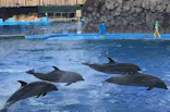 名古屋港水族館に投稿された画像（2021/7/31）