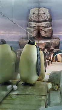 名古屋港水族館に投稿された画像（2021/7/31）