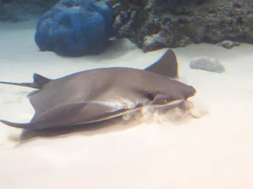 名古屋港水族館に投稿された画像（2021/7/31）