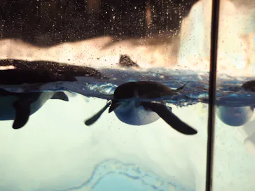 名古屋港水族館に投稿された画像（2021/7/31）