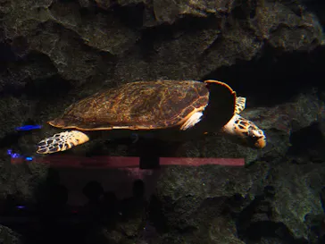 名古屋港水族館に投稿された画像（2021/7/31）