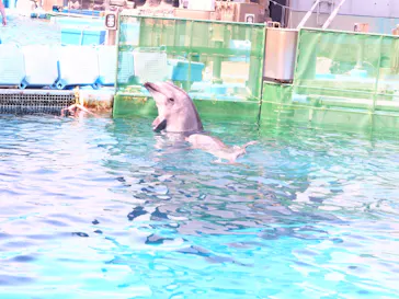 名古屋港水族館に投稿された画像（2021/7/31）