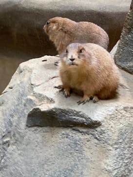 神戸どうぶつ王国に投稿された画像（2021/7/31）