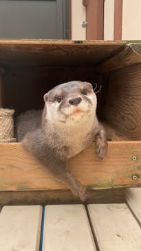 ゼロ距離水族館 伊勢シーパラダイスに投稿された画像（2021/7/31）