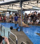 鳥羽水族館に投稿された画像（2021/7/31）