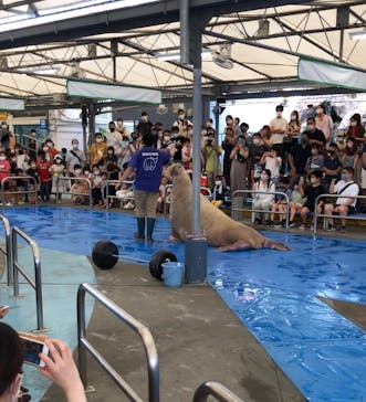 鳥羽水族館に投稿された画像（2021/7/31）