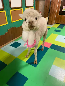 ひらかたパークに投稿された画像（2021/7/31）