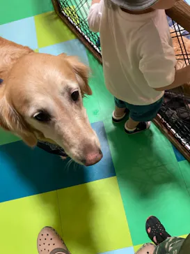 ひらかたパークに投稿された画像（2021/7/31）