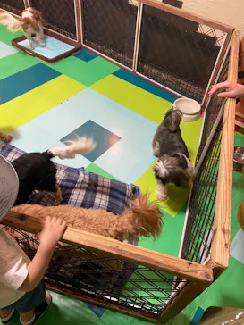 ひらかたパークに投稿された画像（2021/7/31）