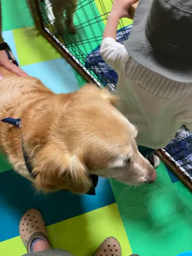 ひらかたパークに投稿された画像（2021/7/31）