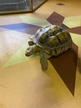 ひらかたパークに投稿された画像（2021/7/31）