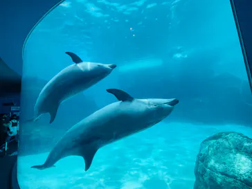 名古屋港水族館に投稿された画像（2021/7/31）
