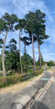 淡路ファームパーク イングランドの丘に投稿された画像（2021/7/31）