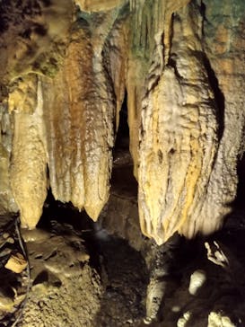 あぶくま洞に投稿された画像（2021/7/31）