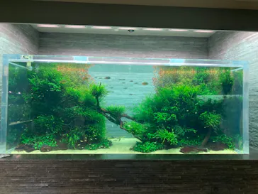 すみだ水族館に投稿された画像（2021/7/31）