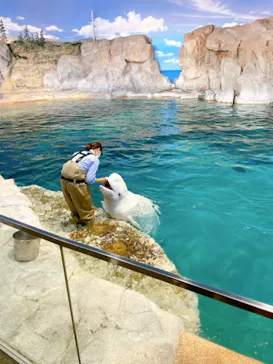 名古屋港水族館に投稿された画像（2021/7/31）